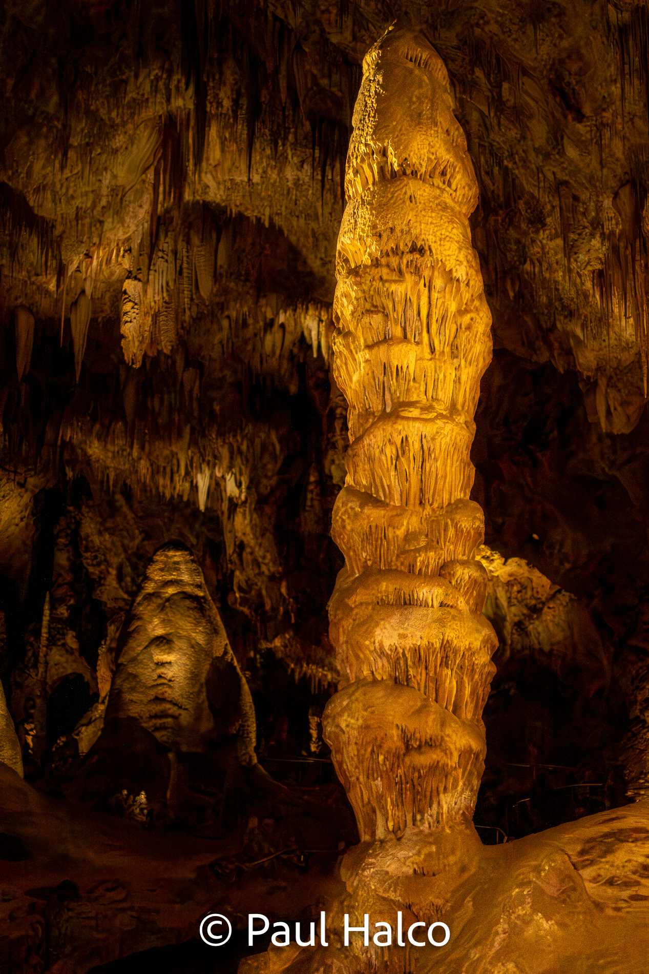 Paul Halco - Caralsbad Cavern NP-10